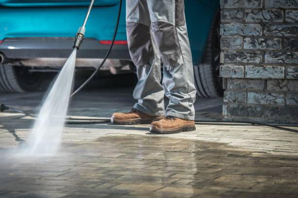 Best Soft Washing  in Big Pine Key, FL