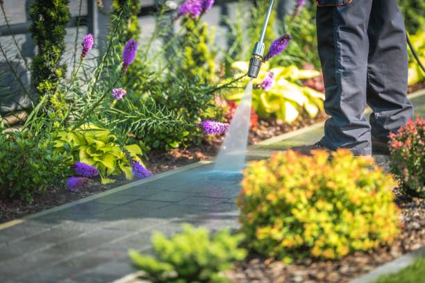 Best Sidewalk and Walkway Cleaning  in Big Pine Key, FL
