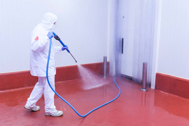 Best Warehouse Cleaning  in Big Pine Key, FL