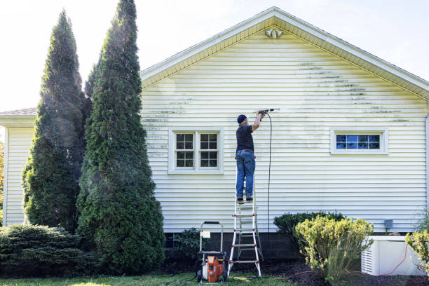 Best Building Exterior Washing  in Big Pine Key, FL